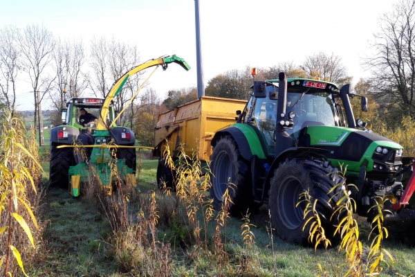Début de récolte de la parcelle, la tête de récolte va découper les tiges et les déchiqueter avant de les envoyer dans la benne du second tracteur