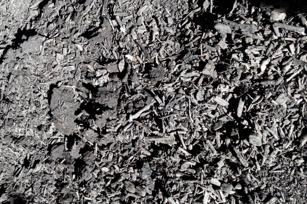 Litière en plaquettes après deux ans d’utilisation