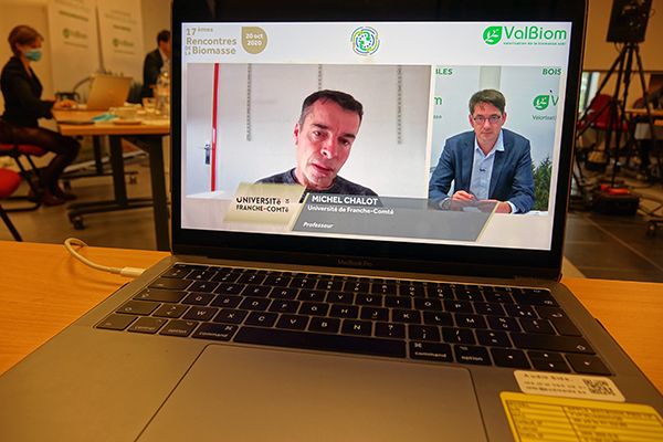 Les cultures renouvelables pour la bioénergie et les écomatériaux : une opportunité pour le phytomanagement de terrains contaminés - Michel Chalot, Université de Franche-Comté