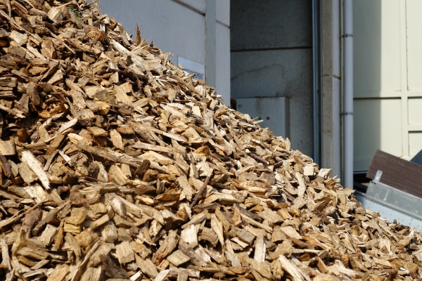 Plaquettes de bois sèchées grâce à la chaleur de la cogénération