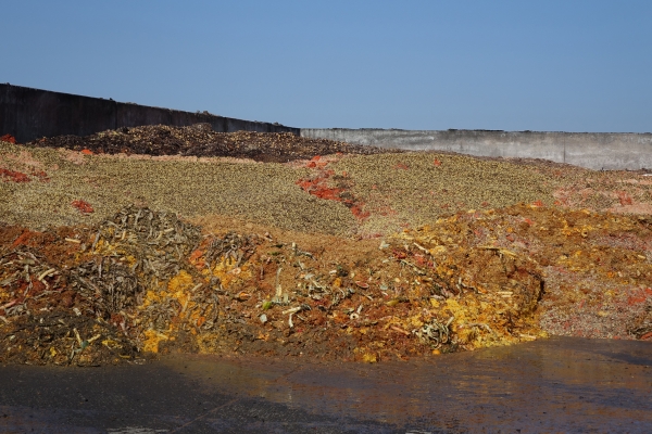 Mix d'intrants provenant de l'usine voisine, Hesbaye Frost (légumes)