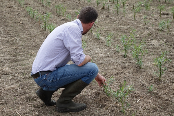 Visite de terrain le 11/07/2017, Temploux ©ValBiom