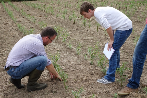 Visite de terrain le 11/07/2017, Temploux ©ValBiom