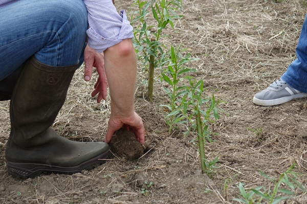 Visite de terrain le 11/07/2017, Temploux ©ValBiom