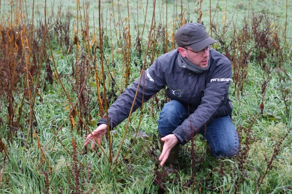Visite de terrain à Ernage, 27/11/2017
