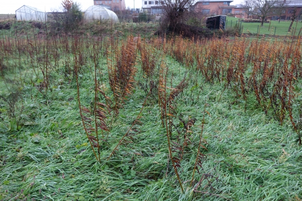 Visite de terrain à Ernage, 27/11/2017