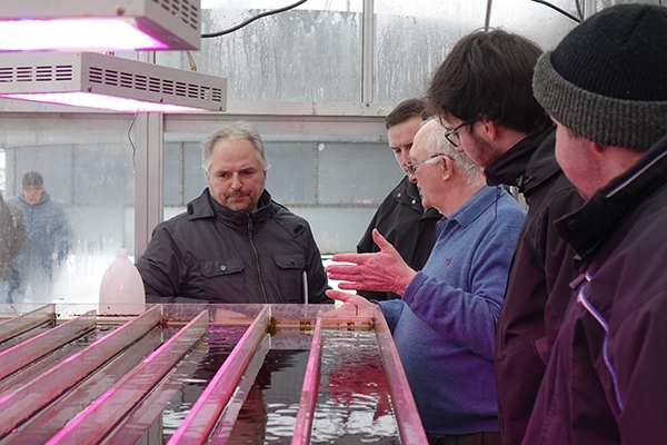 Installations pilotes de cultures de microalgues dans une serre, Ferme du Faascht ©ValBiom