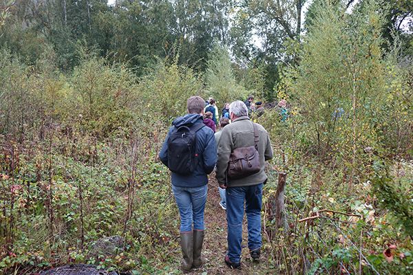 Site expérimental du Martinet, Monceau-sur-Sambre, Charleroi ©ValBiom