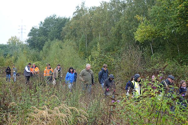 Site expérimental du Martinet, Monceau-sur-Sambre, Charleroi ©ValBiom