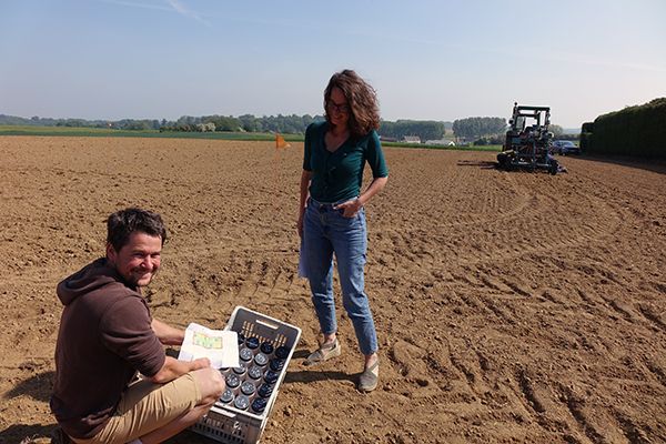 ©ValBiom - Semis de l'essai 'chanvre fibres longues' à la ferme de Marbaix