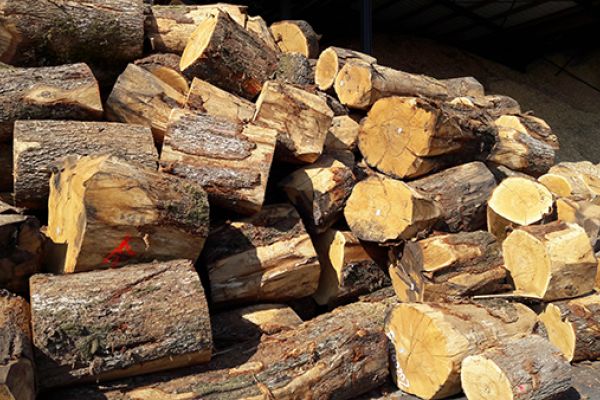 Chutes et purges destinées à être valorisées en charbon de bois