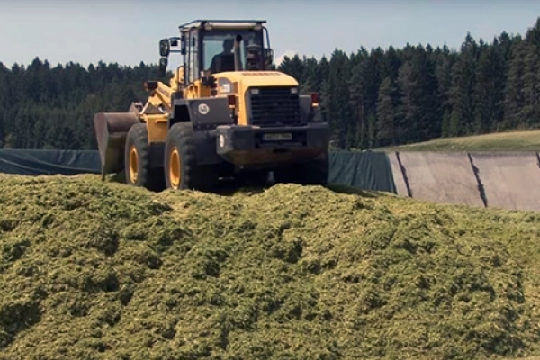 Figure 9 - Enlisage du szarwasi (©Agrareute)