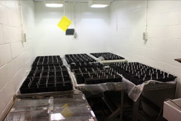 ©UCL – Earth & Life Institute