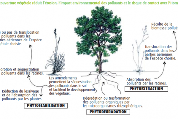 ©UCL – Earth & Life Institute
