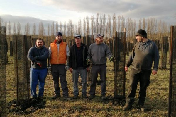 ©XWOOD - Plantation