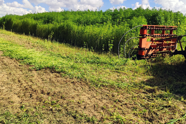 Essai de Lin et Chanvre Bio avec une paralléliseuse chinoise, Normandie, 2020.