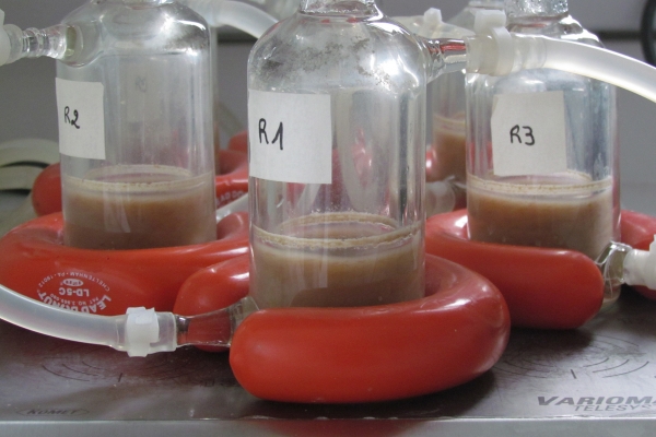 Réacteur son de blé ©URCA