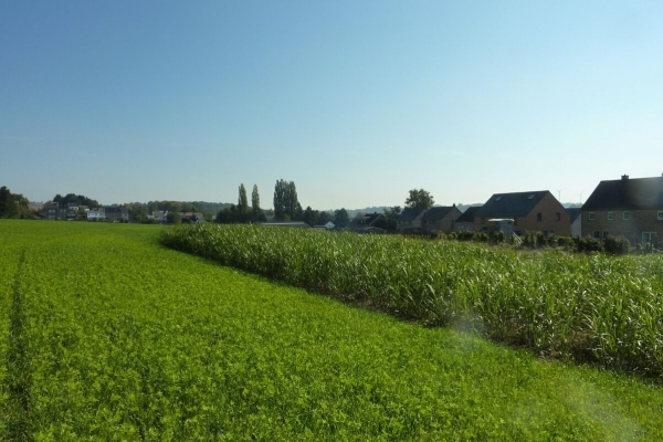 La bande antiérosive de la rue Saint-Martin à Mazy ©ValBiom