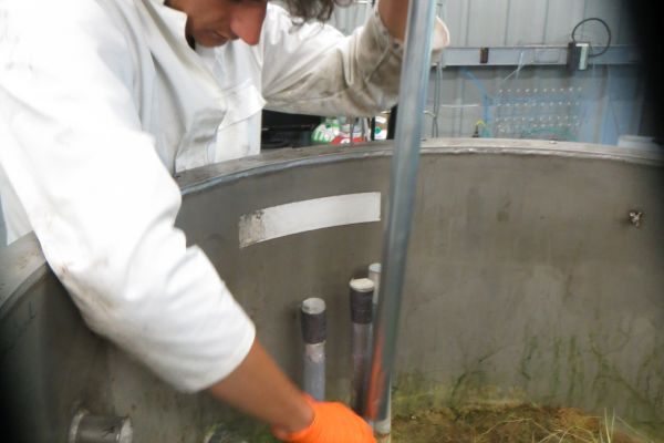 Copyright ©PhytoSELECT - Crédit Lydie.Leforestier. Légende : prélèvements dans le mésocosme.