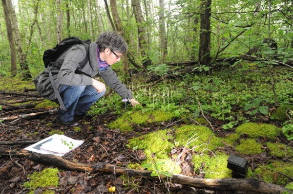 ©SPAQuE - Prélèvements dans les sols et les eaux du site d’Auvelais