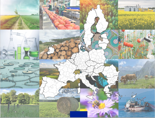 ©Bioeconomy strategy development in EU regions