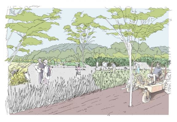 © Les Marneurs - www.lesmarneurs.fr